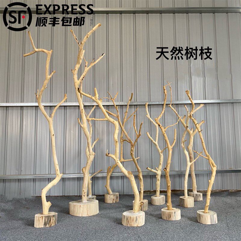 干树枝原木杈艺术干枝枯枝枯木树干鸟架造型壁挂衣架吊顶龙骨装饰图片