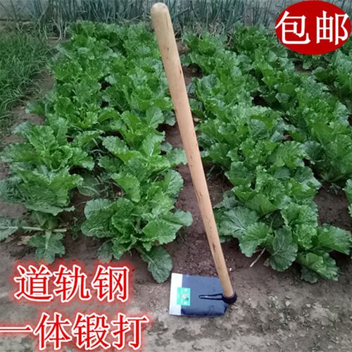 锄头农具种菜除草翻地开山老式长木柄农用工具园艺锻打大号宽锄头