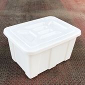 加厚带盖箱加厚储水箱长方形塑料水箱养鱼箱食品收纳箱海产养殖箱
