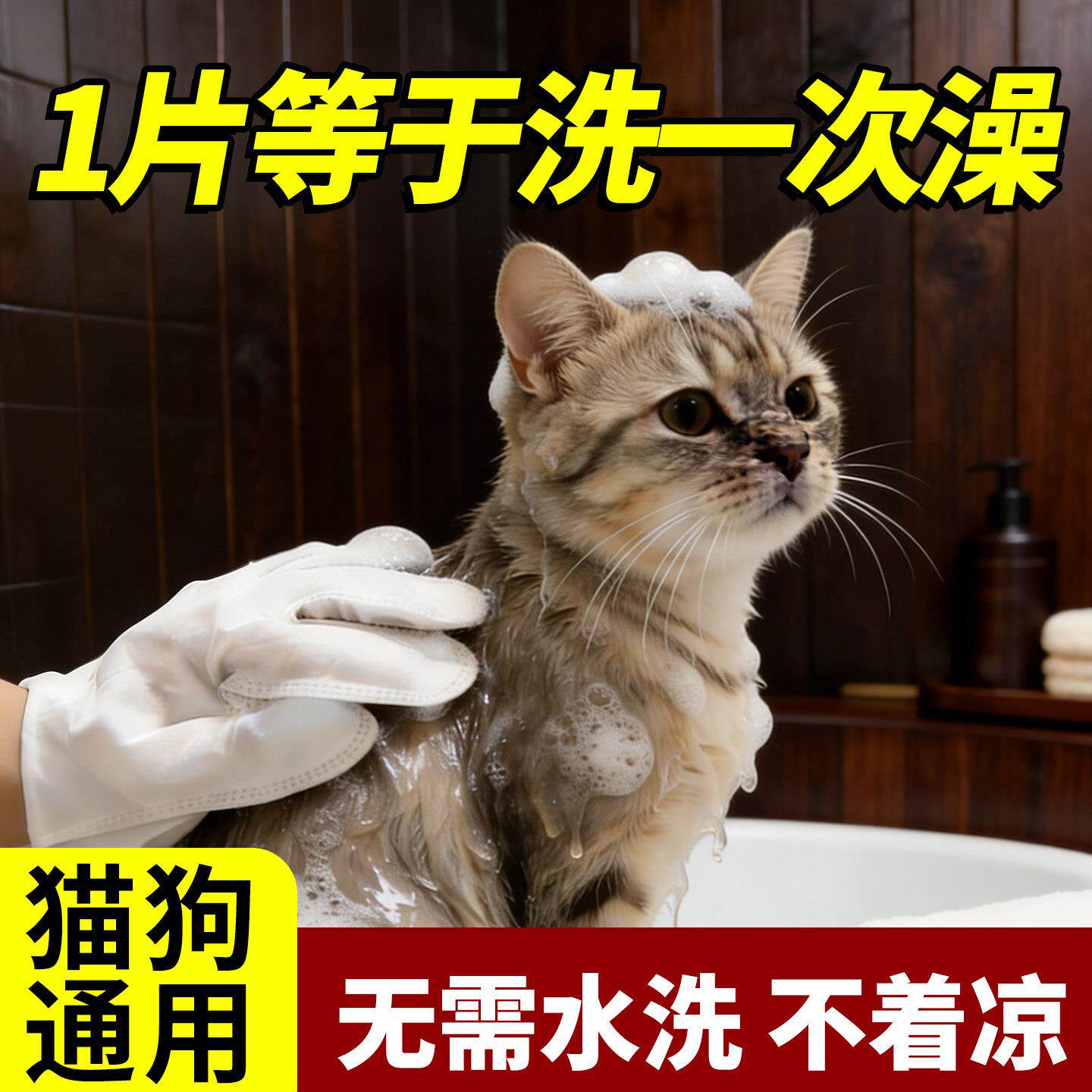 宠物免洗清洁手套湿巾幼猫狗狗一次性专用干洗护理用品专用免洗澡