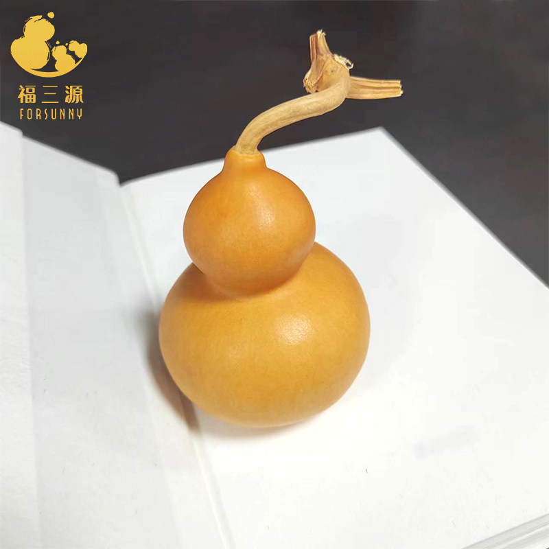 葫芦天然手捻小葫芦丫丫葫芦内部有种籽子桌面摆件客厅装饰小礼品