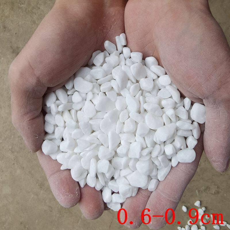 鹅卵石天然小石头雨石花石色小子24614白石子花盆盆栽多肉白面装