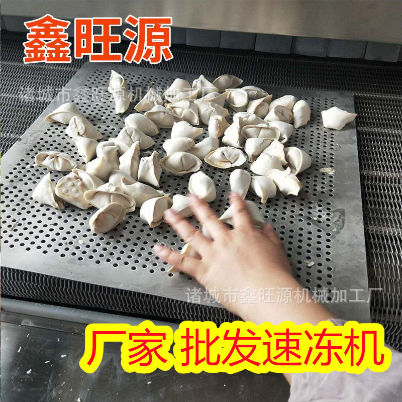 商业用速冻机香菇菌类小型速冻机饺子面食隧道式速冻机厂家