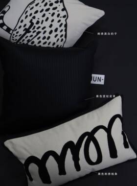 Z6M黑刺绣豹子白抱枕古时髦简约沙中发G靠垫黑色抽象850方枕靠背