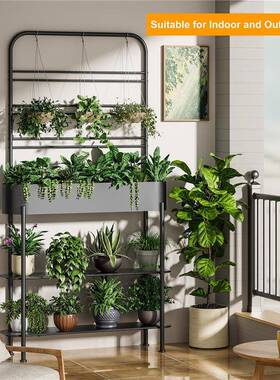 室花架爬藤架花盆爬户外阳台庭院DLD园艺外花园攀植物支架花园床