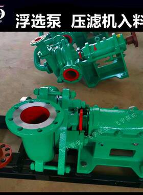 Z滤J200-3W5B压机入料加压泵ZJ1H浮选机入料渣浆泵无品牌/卧式离