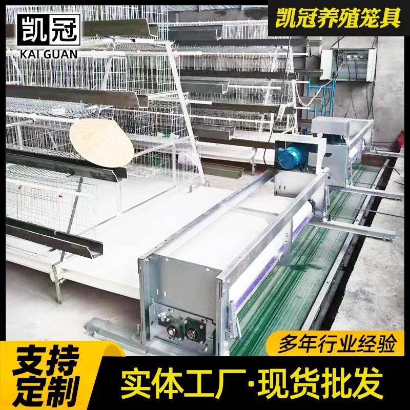 层阶梯式鸡笼新型全自热动养鸡设备CTR镀锌自动清粪带钢丝蛋蛋多图片