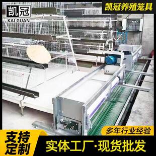 层阶梯式鸡笼新型全自热动养鸡设备CTR镀锌自动清粪带钢丝蛋蛋多