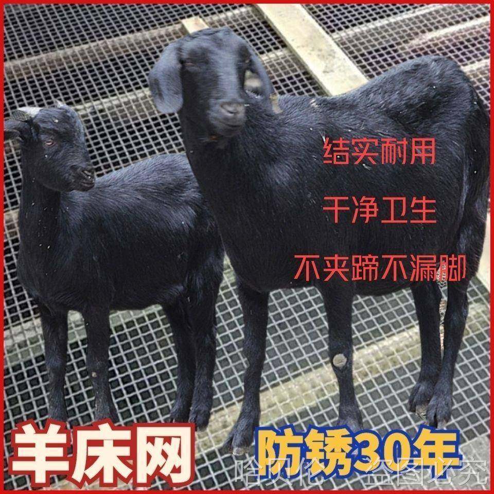 鹅漏地板热镀锌殖网鸡鸭育肥羊HUG床漏漏网粪羊钢丝粪底床网床粪,基础建材,塑木,淘宝优惠券,粉丝福利购,淘宝优惠卷