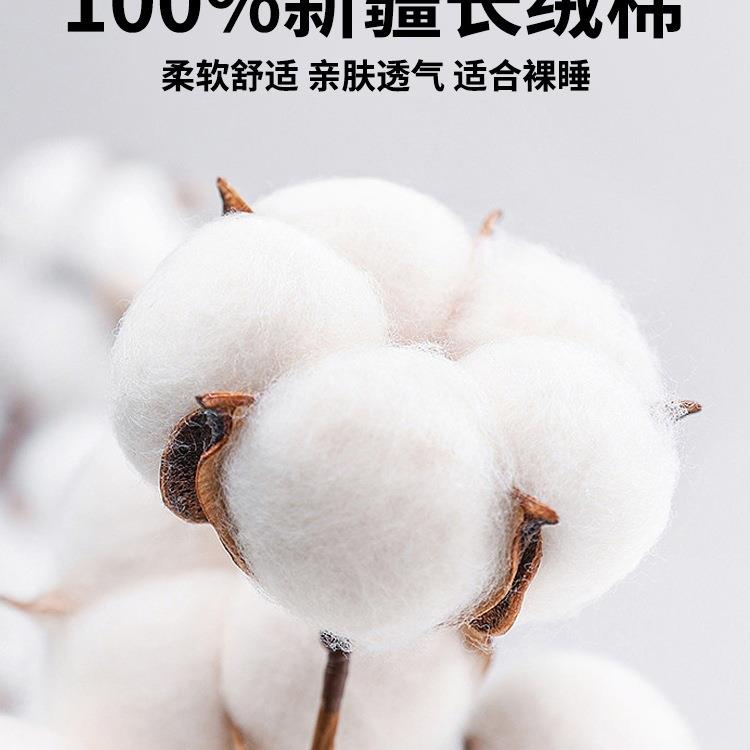 床笠单件YXA-121210纯床棉0床罩三件套2204新款四季通用床单保护