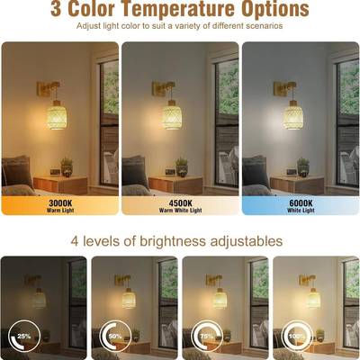 盘竹编壁灯搭166配RG充电证灯泡原木底麻花线带认B北美站壁灯