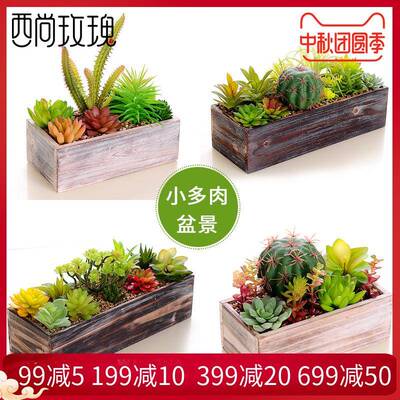 绿植物台多肉居盆景家木盆组合装饰摆件内窗餐桌假花仙室人掌盆栽