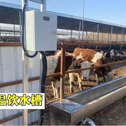 牛羊恒温水槽不锈钢电加热恒温饮水槽自动上水防冻养牛设备恒温水
