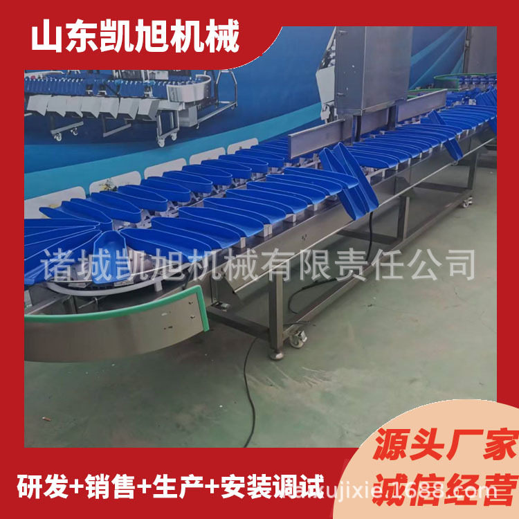 李子油桃自动称重大小筛选机 芒果枇杷小型选果机 厂家直供售后好