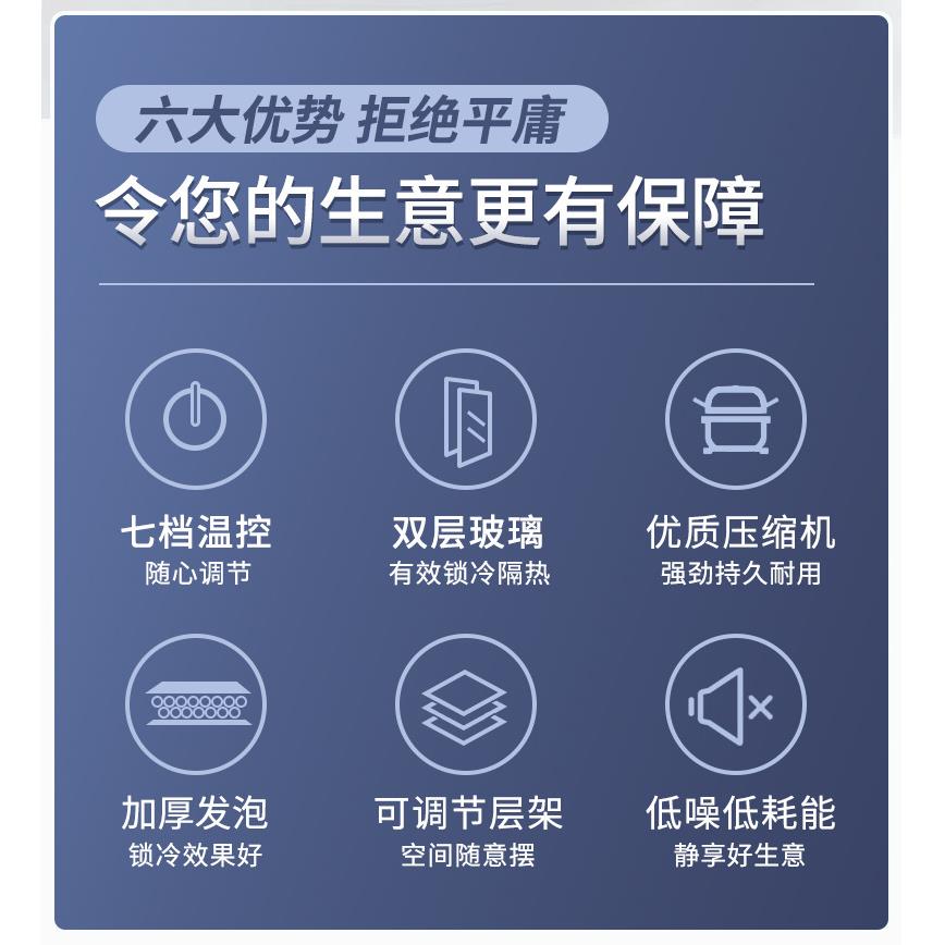 穗凌LG4-202L立式冷柜冰柜商用单温直冷双门饮料保鲜冷藏展示柜