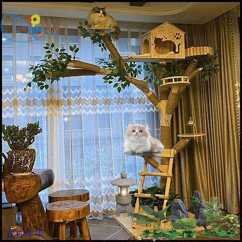猫爬架大型猫窝一体自嗨耐磨不掉屑猫树逗猫解闷实木猫抓柱猫抓板