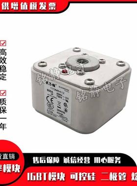 170M3313170M3314170M3315170M3316170M3317巴斯曼熔断器现货