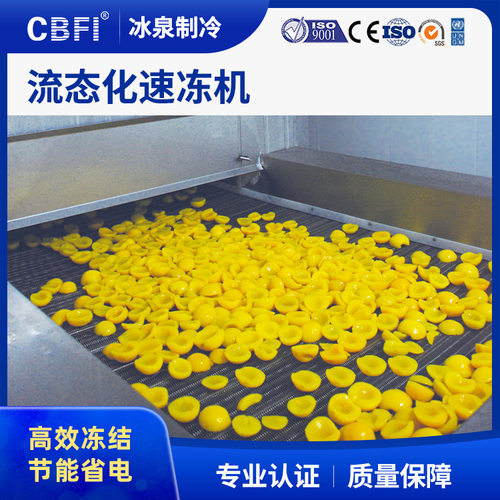 蔬菜水果大型全自动速冻隧道1-10吨持续作业大产能 速冻机厂家直