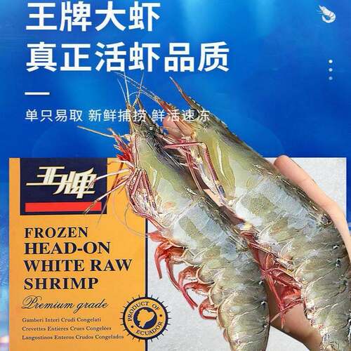 大虾鲜活冻速基围虾TKQ海虾厄瓜多尔盐白虾南美冻海对虾类鲜