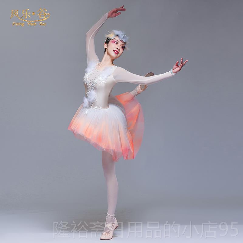 高档朱鹮演出元服儿童丹顶鹤演典芭出服蕾舞演出服装旦学生古舞艺
