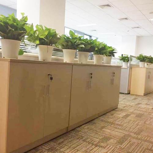 永航办公家具落地矮柜办活公室隔组合资料断柜文带件储存锁矮柜动