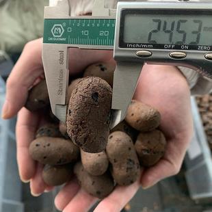 黏土陶粒1直0 30mm畅九738衢销量价大优