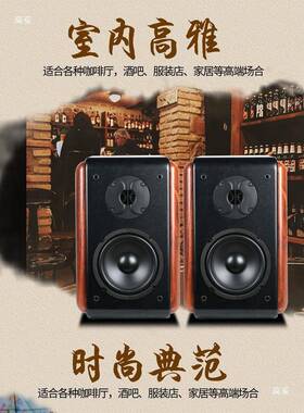 家用无喇源书架音响5寸6.5寸威叭发烧hfi6201木质前置对箱胆机惠