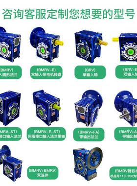 入CGLBRV00040050宝戈玛轴输微型3手摇蜗轮蜗杆减速机转角自锁现