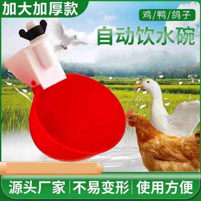新款鸡鸭饮水器大牌优选加厚家禽自动饮水碗养殖喂水鸽子鹌鹑鸟