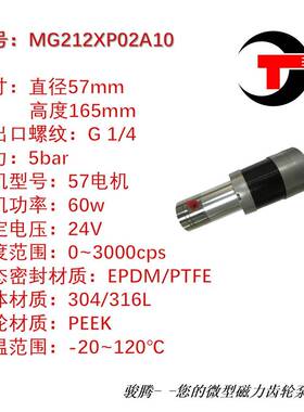 MG22XP02A10微型磁力齿轮泵不装锈钢水油1酸碱CLN溶剂0泄泵露灌计