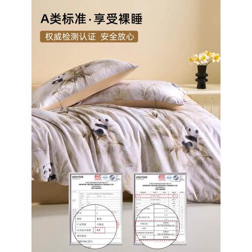 100贡支绒棉床用品四件套缎轻奢UAD纯棉全棉被套床单长床笠三上件
