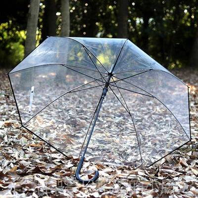 正品英议伦复古款1黑6骨长柄商务会明星道具同情侣白色透明雨伞包