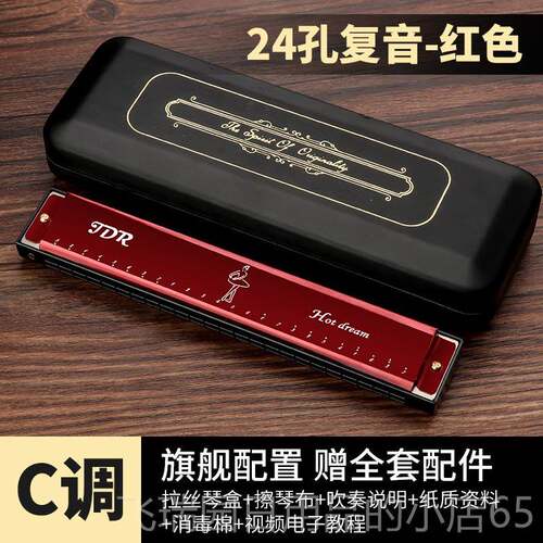 正品正D品口琴初学者学生儿覆音24孔c调男女JR口风童琴业演奏级乐