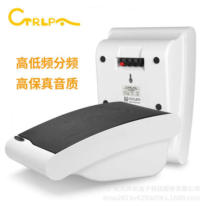CTR响LPACL651IIC挂L51II壁挂音箱壁式音响校6园广播教室喇叭音墙