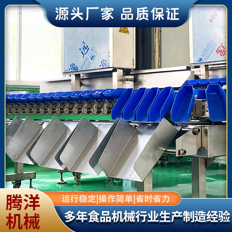小龙虾全自动称重分选机