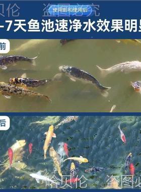 箱水池滤过滤室外净化直销装置水不过滤鱼池过器循环系统系统TGI