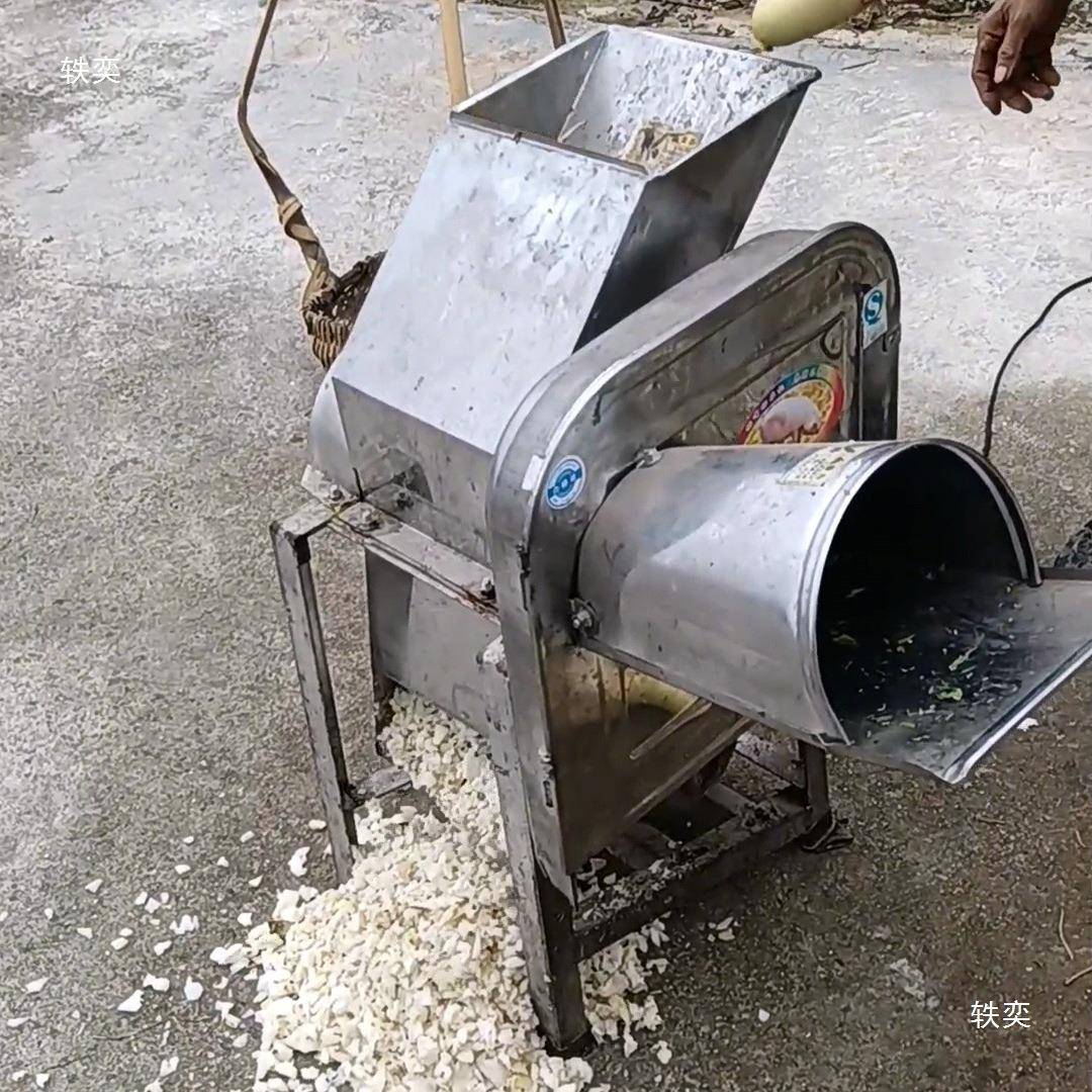 丁用养殖切猪草机器养猪用萝卜瓜SNL果切打猪家菜的机器
