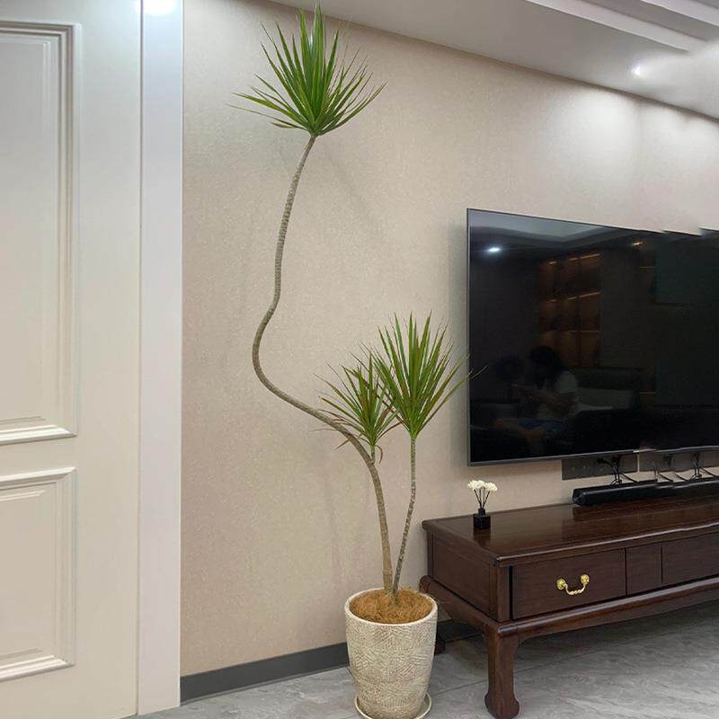 造型千年木铁盆栽室内厅植物青叶马客尾好网红绿植四季常青742388