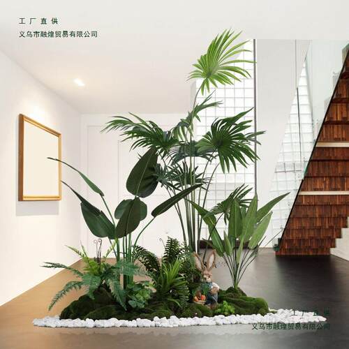 造景阳台植景布置观室内楼梯下装饰绿F895H86J植旅人蕉造景组物合