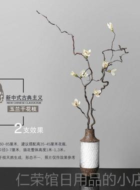 正品客厅落干地天然枝玉兰兰干 干燥树干 干燥花花束干支干 树枝