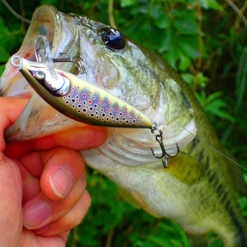 Rpl乐伯乐E数秒精英路亚硬饵巴尔沙木淡水远投米诺鱼饵垂钓