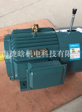 -YYZPEJ160L2流18.5KW三相异步交电抱闸电磁制动机