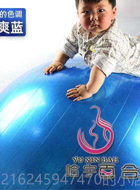 高档专业儿童感宝统训练大龙球宝前0庭感知平衡锻炼10cm摩按瑜伽