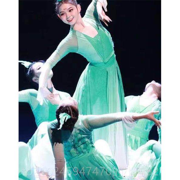 高档秋出水长天舞蹈服女古典共舞演服女子群中国风艺考舞台服装新