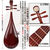 正品 专业花梨木成琵年琶儿童中号青琴喜乐器初人学入门考木级厂家