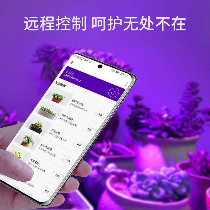 蔬大棚全光谱IJX菜多肉花果草菊花育苗花卉物物植水生长补光灯仿