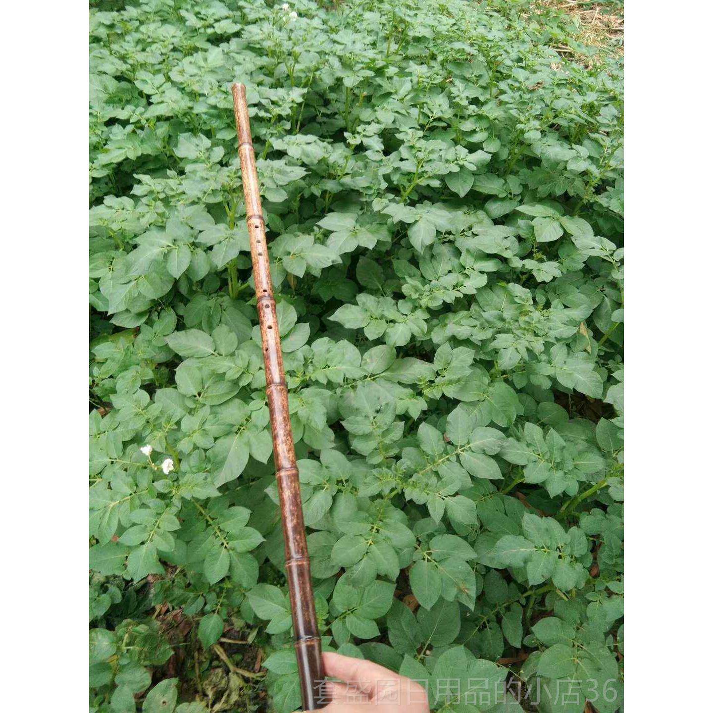 正品箫g细管箫调f调箫古伴琴奏琴雅致典雅