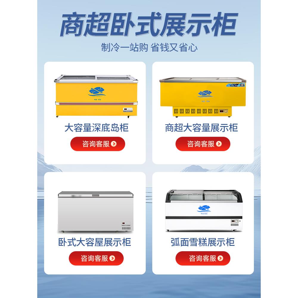 雪糕冰商玻柜璃透箱明用冷藏660展示柜大容量超市便利店冰冷冻柜