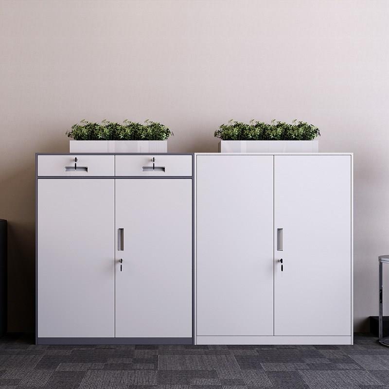 办公室文件柜铁资皮矮柜柜料案窄边文件凭档证铁柜带锁员工更书衣