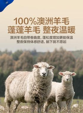 澳洲口105970纯羊毛子春秋进被加厚冬被保暖宿被舍被芯厚进绒口羊